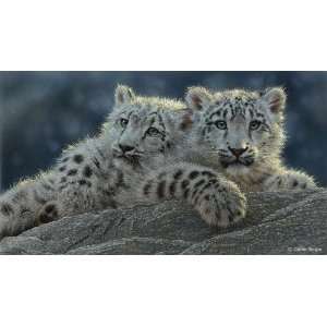  Collin Bogle   Snow Leopard Cubs Artists Proof Enhance 