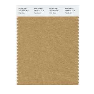  PANTONE SMART 15 0927X Color Swatch Card, Pale Gold: Home 