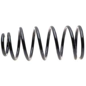  Raybestos 589 1175 Professional Grade Coil Spring Set 