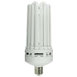 MaxLite 35840   100 Watt CFL Light Bulb   Compact Fluorescent   5U 