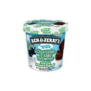 Ben and Jerrys Chocolate Fudge Brownie Frozen Yogurt, Size: Per Pint 