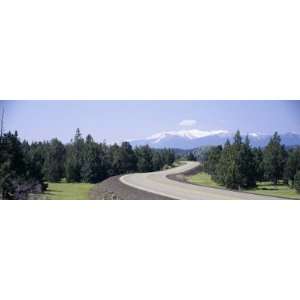 Forest with Snowcapped Mountains in the Background, Mt Shasta, Yreka 