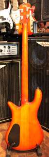 BRAND NEW SPECTOR EURO 4LX TW ULTRA AMBER 4 STRING BASS  