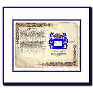  Andric Coat of Arms/ Family History Wood Framed