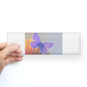  Bumper Sticker Clear Xerces Purple Butterfly: Everything 
