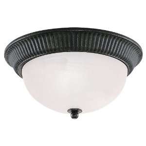  Sea Gull Lighting 7710 07 2 Light Catrina Close to Ceiling 