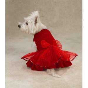  X LARGE   Caliente Dog Dress