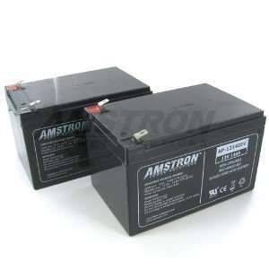  Amstron AP 12140EV Deep Cycle Battery (2 pk): Electronics