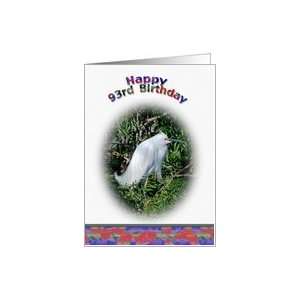  93rd Birthday Card with Snowy Egret in Water Card: Toys 