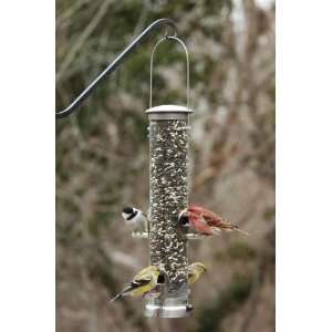   Medium Brushed Nickel Seed Tube Feeder Quick Clean: Home & Kitchen