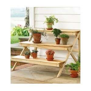    Three Tier Varnished Wood Plant Stand: Patio, Lawn & Garden