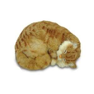  SLEEPING CAT realistic looking cat: Everything Else