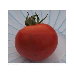  Espana Tomato Seed Patio, Lawn & Garden