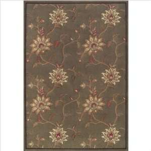  Capri Willow Contemporary Rug Size 53 x 77