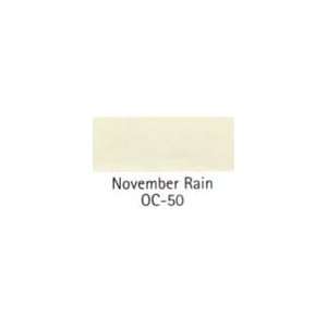   PAINT COLOR SAMPLE November Rain OC 50 SIZE:2 OZ.: Home Improvement