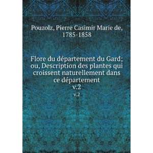   dÃ©partement. v.2 Pierre Casimir Marie de, 1785 1858 Pouzolz Books