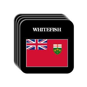  Ontario   WHITEFISH Set of 4 Mini Mousepad Coasters 