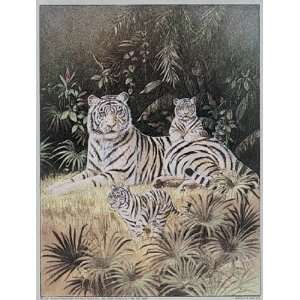 Chiu   White Tiger Cubs Size 6x8 by T.C. Chiu 6x8:  