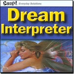  Dream Interpreter Electronics
