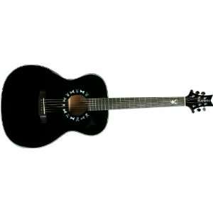  Clayton Picks PBA BP Acoustic Guitar: Musical Instruments