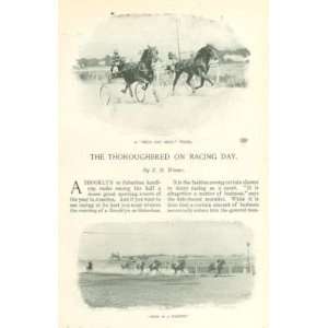    1898 Thoroughbred Horse Racing in New York: Everything Else