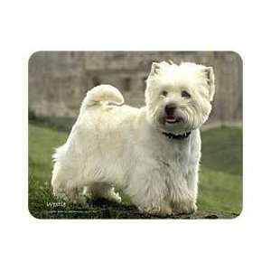  West Highland Terrier Coasters: Kitchen & Dining