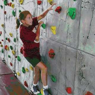   Mat Tables Superior Rock Climbing Wall   20L X 8H: Sports & Outdoors