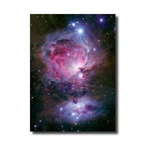  The Great Nebula In Orion Giclee Print