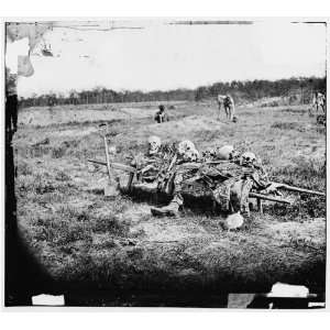 War Reprint Cold Harbor, Virginia vicinity. Collecting remains of dead 