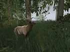 Cabelas Deer Hunt 2004 Season Xbox, 2003  