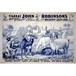 Circus Poster   The Great John Robinsons 4 Ring Circus   Magical 16 