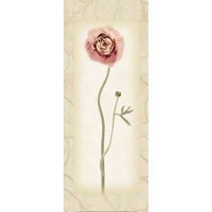   Ranunculus Finest LAMINATED Print Donna Geissler 8x20