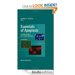 Essentials of Apoptosis A Guide for Basic and Clinical Research Xiao 