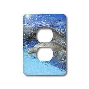   Aquarium n Valencia, Spain   Light Switch Covers   2 plug outlet cover