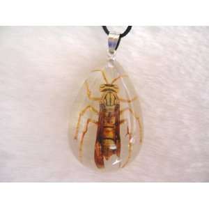  Real Bugs Necklaces With Yellow Jacket Pendant: Everything 