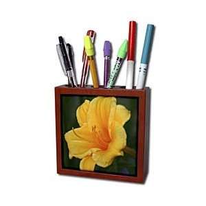   Art Designs   Yellow Day Lilly   Tile Pen Holders 5 inch tile pen
