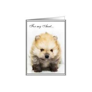  I Miss you Aunt Pomeranian puppy Card Health & Personal 