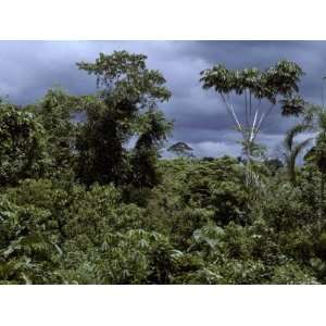 Lush Tropical Rainforest Canopy under a Looming Thunder Storm, Peru 