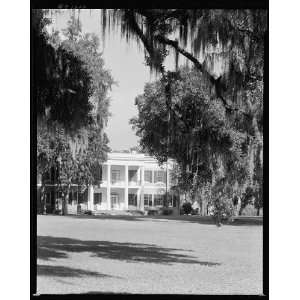   Hill plantation,Savannah vic.,Chatham County,Georgia: Home & Kitchen