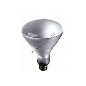   /FL/HALOGEN H120R40FL/120V HALOGEN Green Energy Light Bulb / Lamp