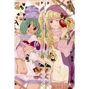 Anime Body Pillow Anime Macross Frontier , 13.4x39.4 Double sided 