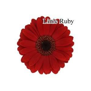   Little Ruby Mini Gerbera Daisies   140 Stems Arts, Crafts & Sewing