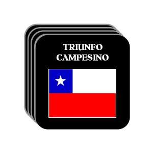  Chile   TRIUNFO CAMPESINO Set of 4 Mini Mousepad 