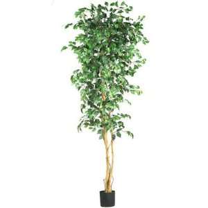  Nearly Natural 7 Ficus Silk Tree: Home & Kitchen