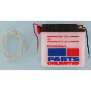  Parts Unlimited Economy Battery R6N4B2A3 
