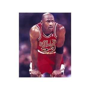  Michael Jordan Hands On Shorts 16 x 20 Photograph 