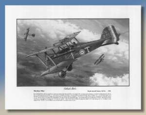 WWI Aviation Art RAF S.E.5A, Capt. George E.H. McElroy  