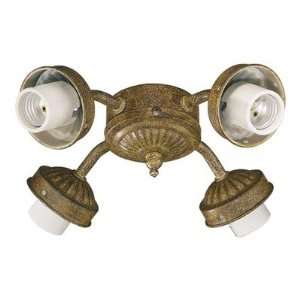  Ceiling Fan Light Kit in Ancient Gold Bulb Type 