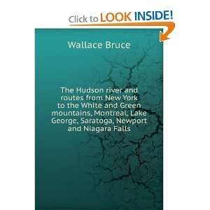   Lake George, Saratoga, Newport and Niagara Falls: Wallace Bruce: Books
