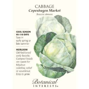  Cabbage Copenhagen Market Heirloom Seed 150 Seeds Patio 
